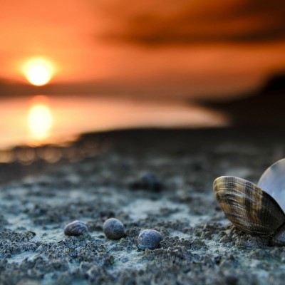 1920 x 1080 HD Wallpapers 2935